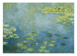 Claude Monet - Seerosen Kunstdruck in Blau- und Grüntönen
