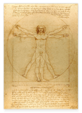 Leonardo da Vinci - Vitruvianischer Mensch