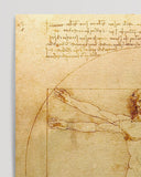 Leonardo da Vinci - Vitruvianischer Mensch