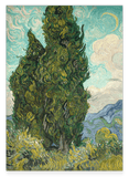 Vincent van Gogh - Zypressen