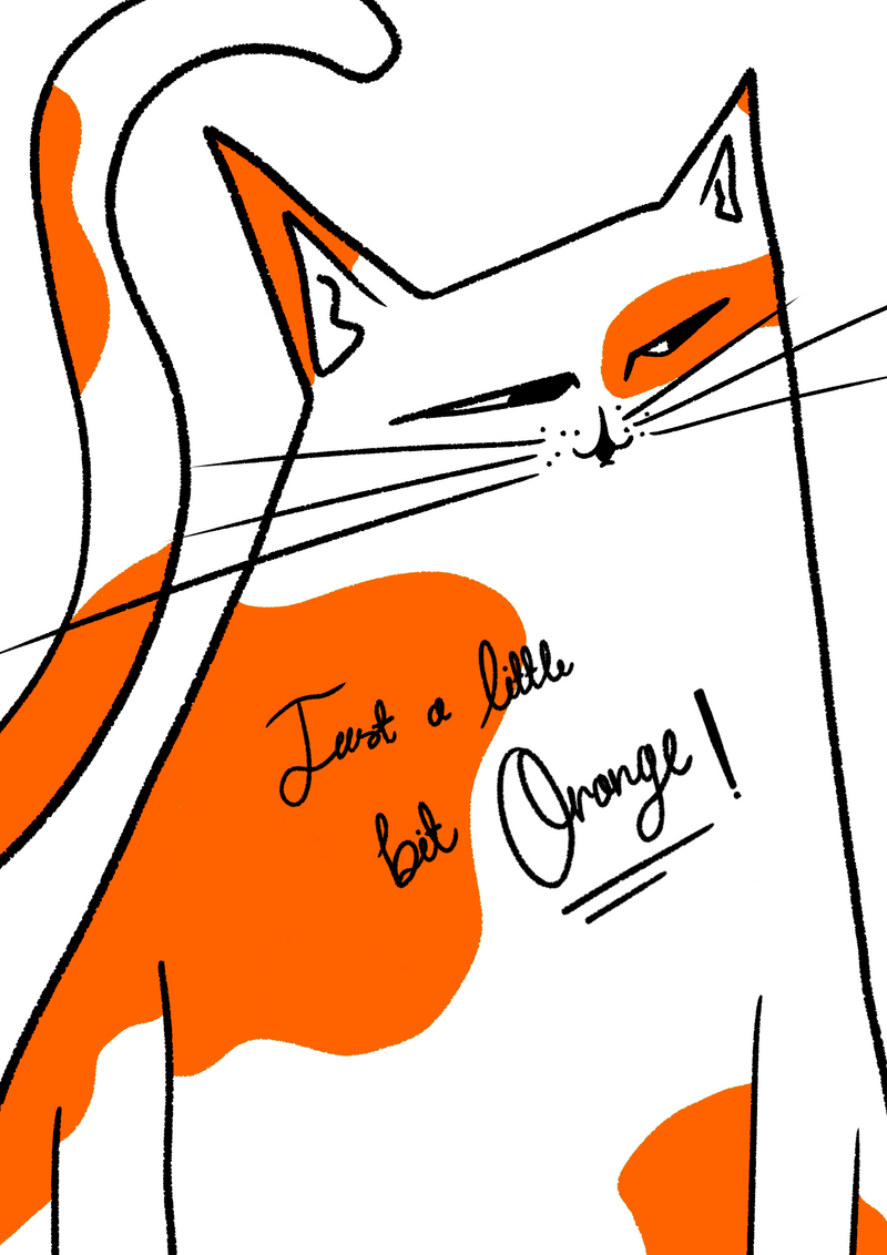 Just a little bit Orange Cat