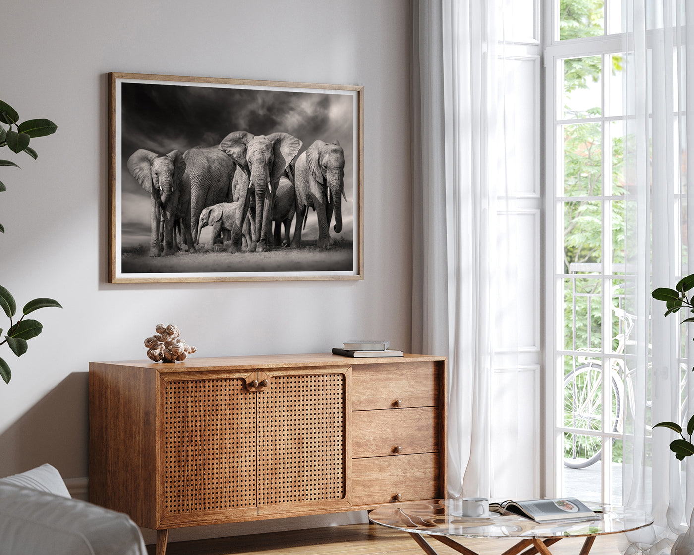 Elefanten-Herde in Schwarz-Weiß