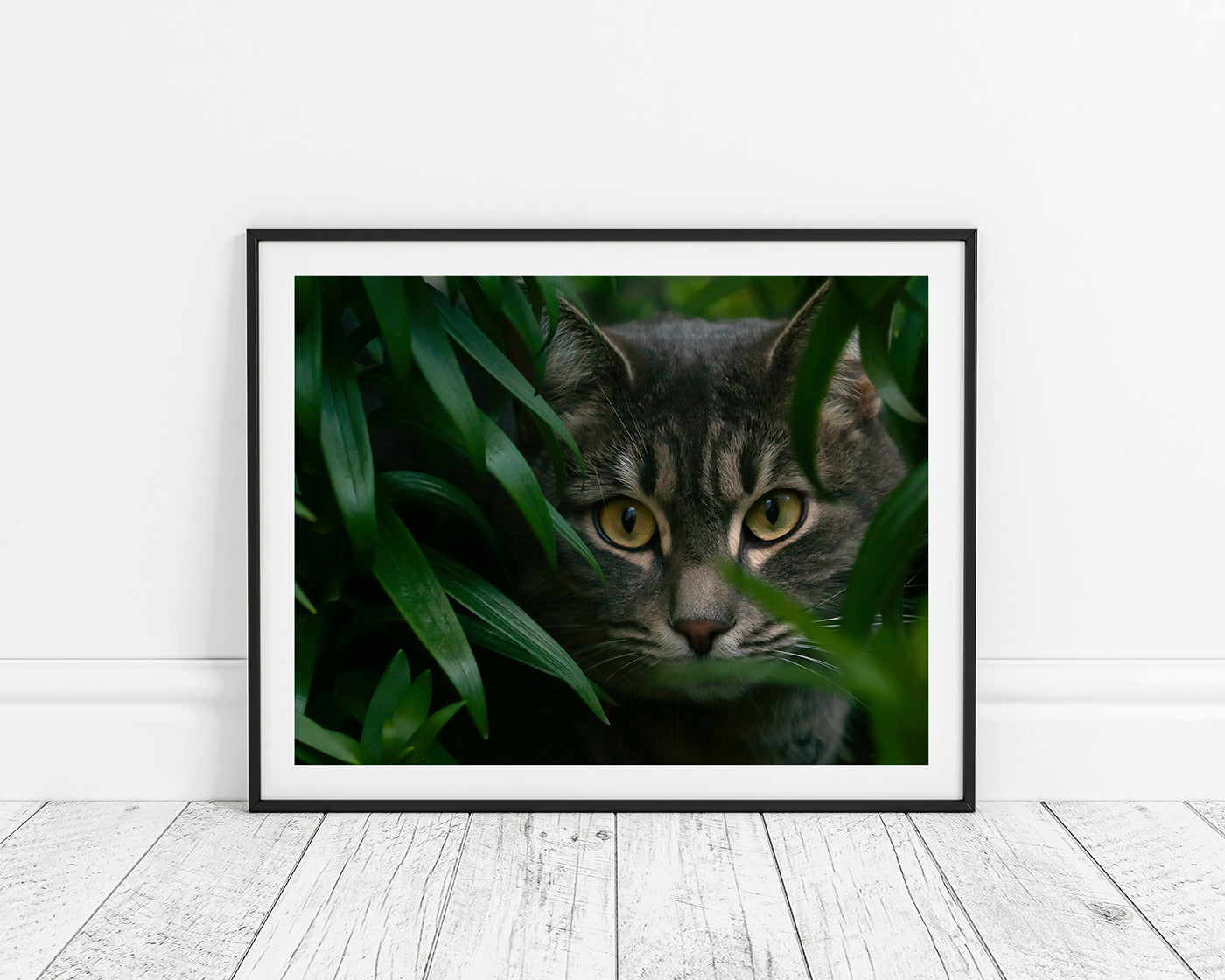 Katze zwischen Blättern