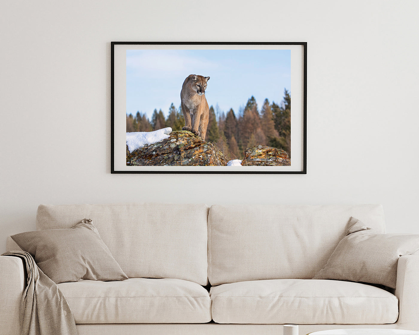 Puma in Berglandschaft