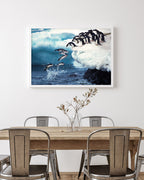 Pingune springen ins Wasser