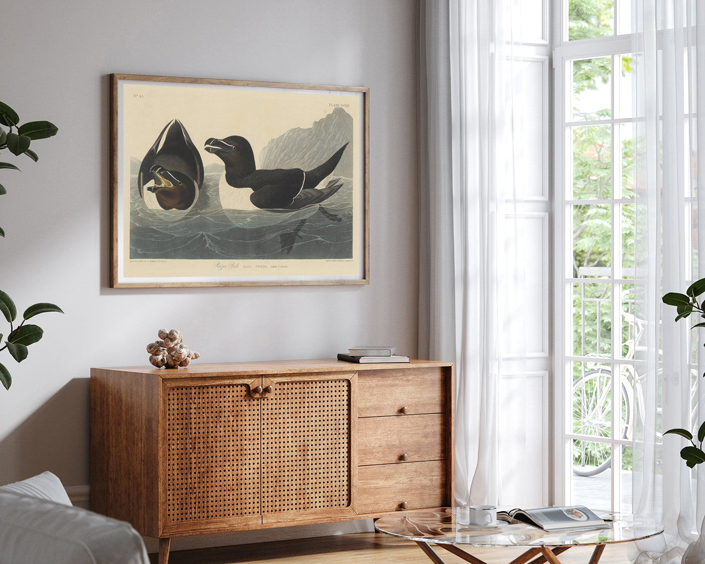 John James Audubon - Zwei Enten im Wasser