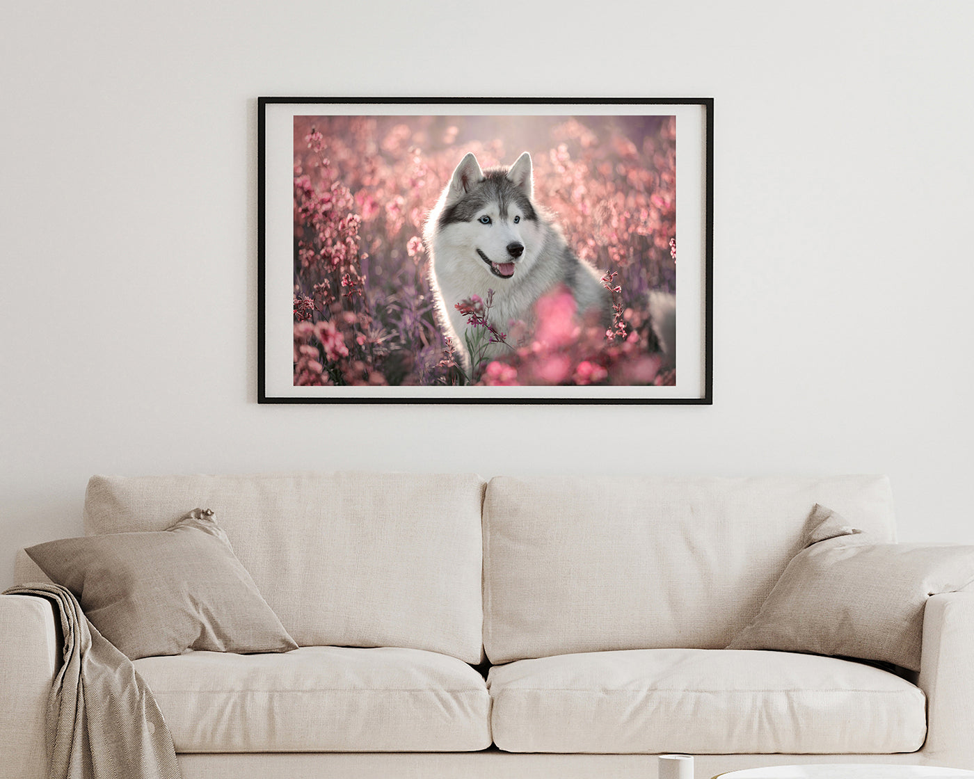 Husky in Blumenwiese