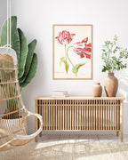 Jacob Marrel - Rot-Weiße Tulpen