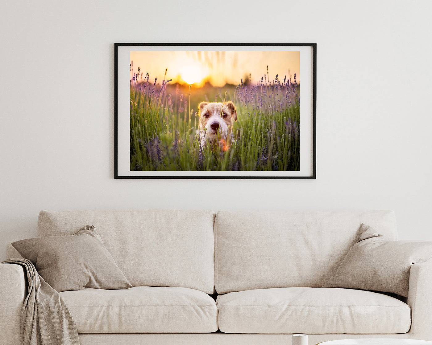 Süßer Hund in Blumenwiese