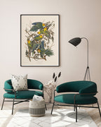 John James Audubon - Paradiesvögel