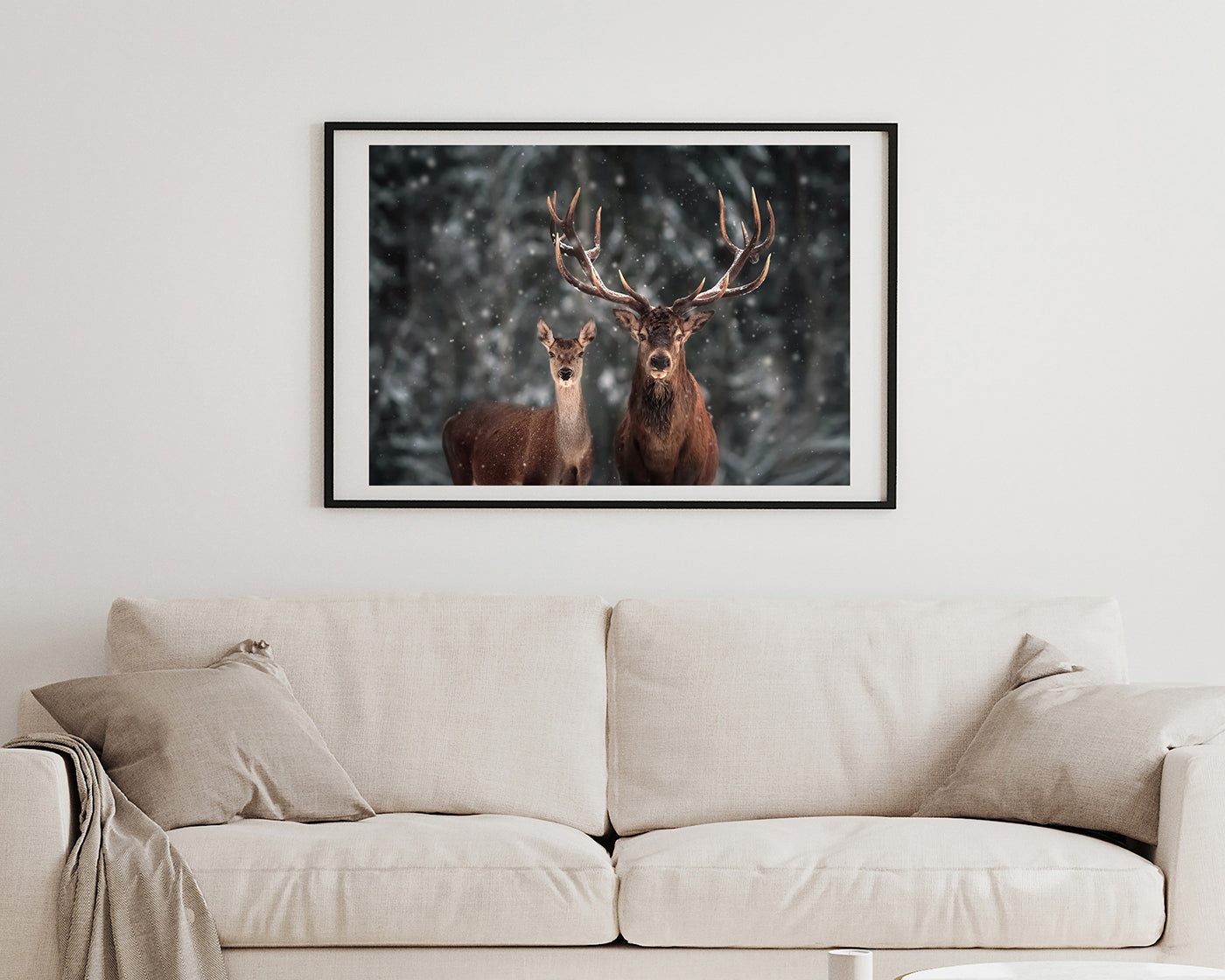 Hirsch-Paar im Winter