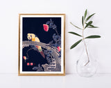 Itō Jakuchū - Vogel auf schwarzem Hintergrund