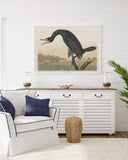 John James Audubon - Smaragdgrüner Wasservogel