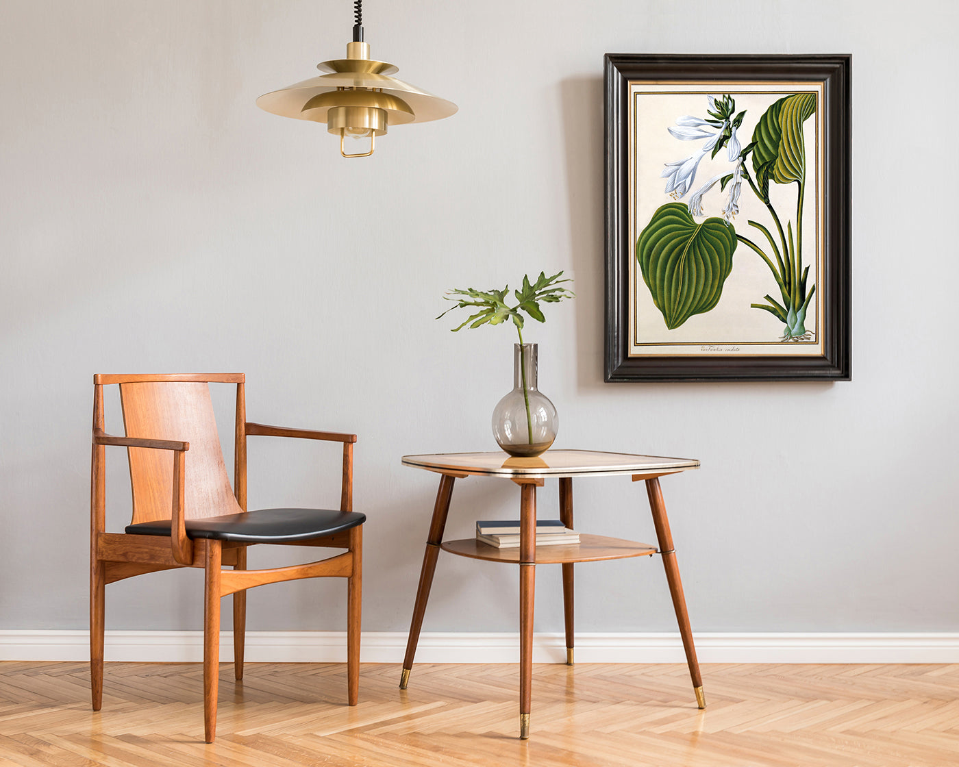 Funkia Cordata - Weiße Funkie