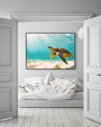 Schwimmende Schildkröte