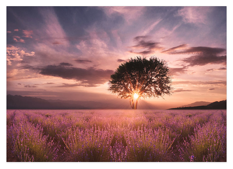 Baum auf einem Fliederfeld