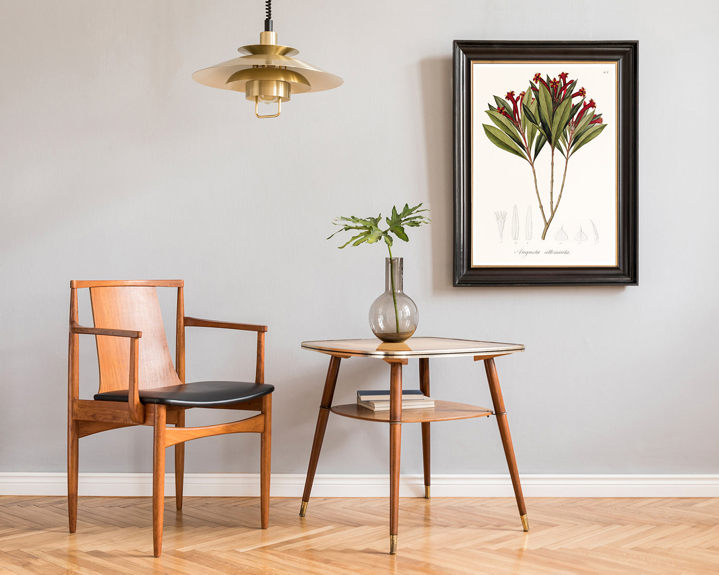 Augusta Attenuata - Pflanze mit roten Blüten