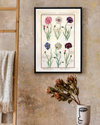 Eine Übersicht blühender Blumen