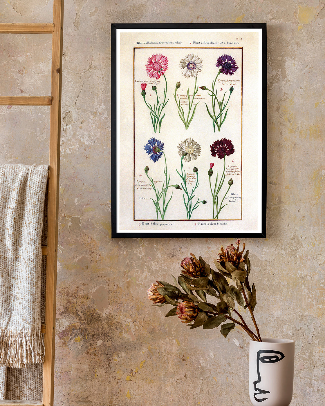 Eine Übersicht blühender Blumen