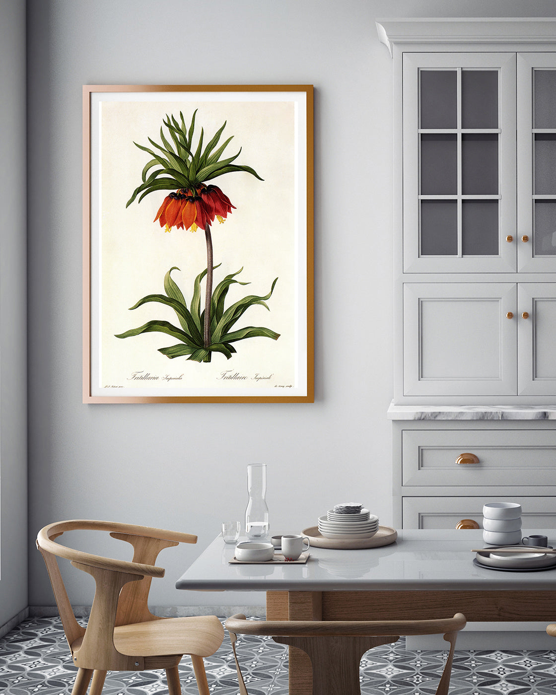 Fritillaria Imperialis - Kaiserkrone