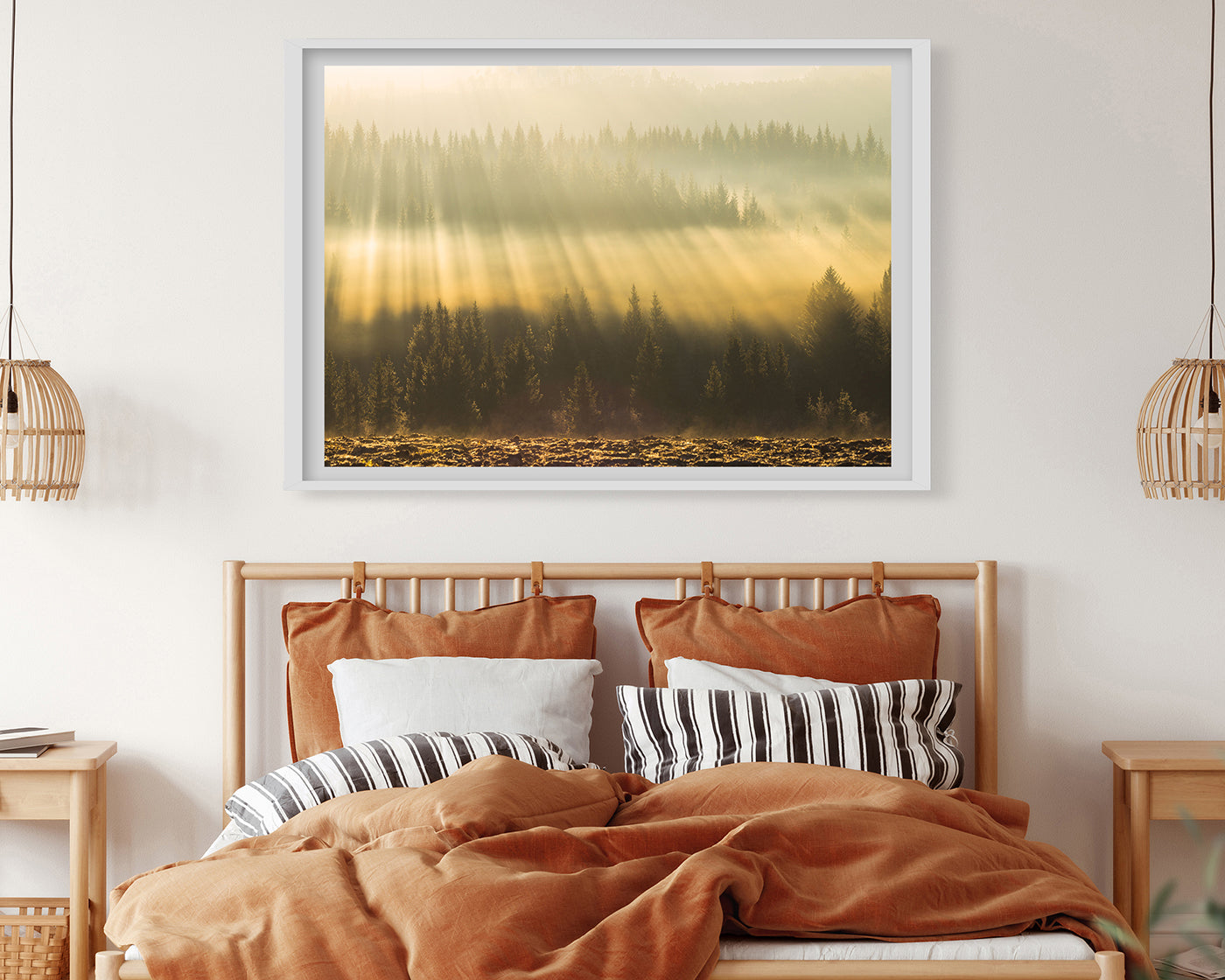 Sonnenstrahlen am Wald