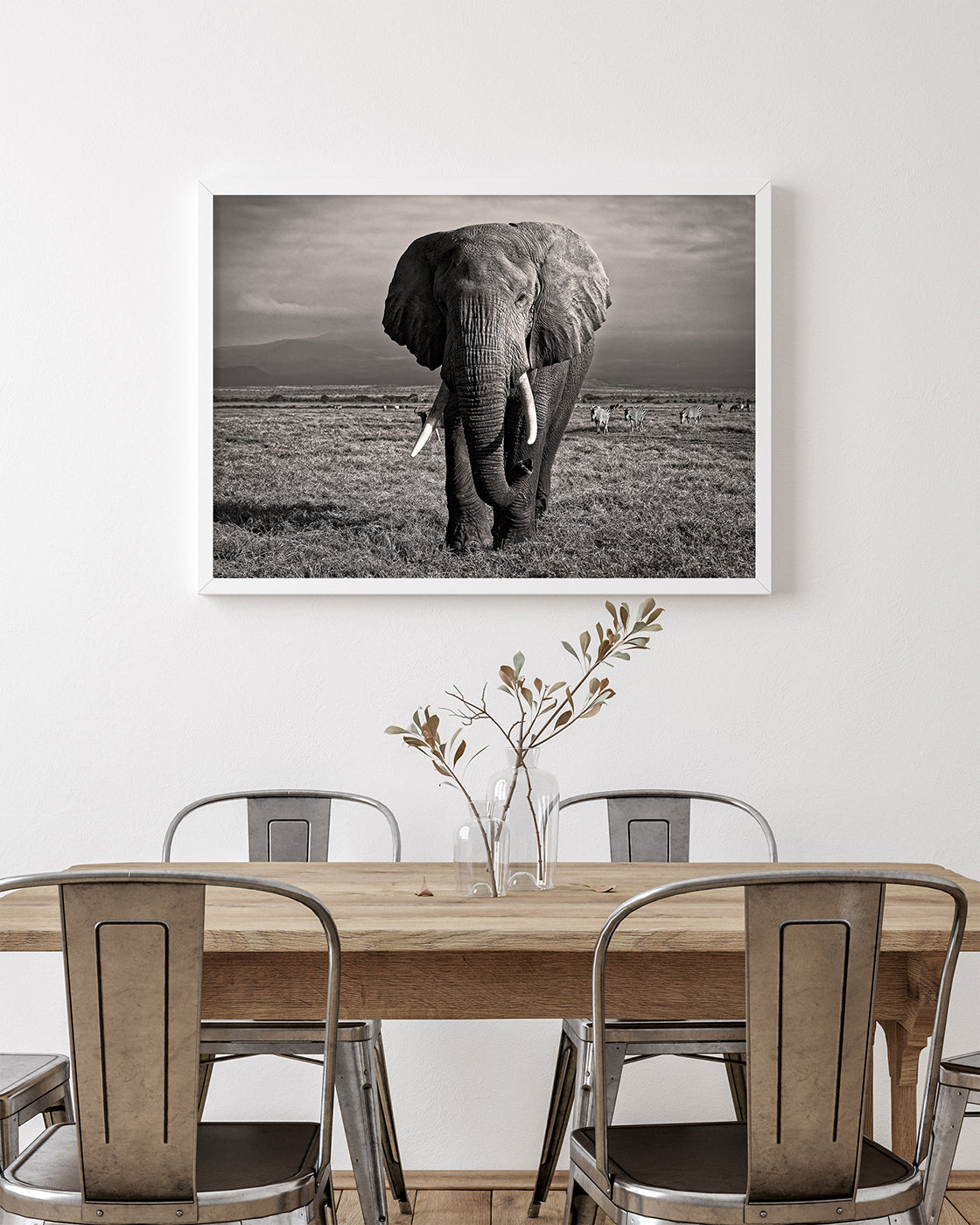 Elefant in Schwarz-Weiß