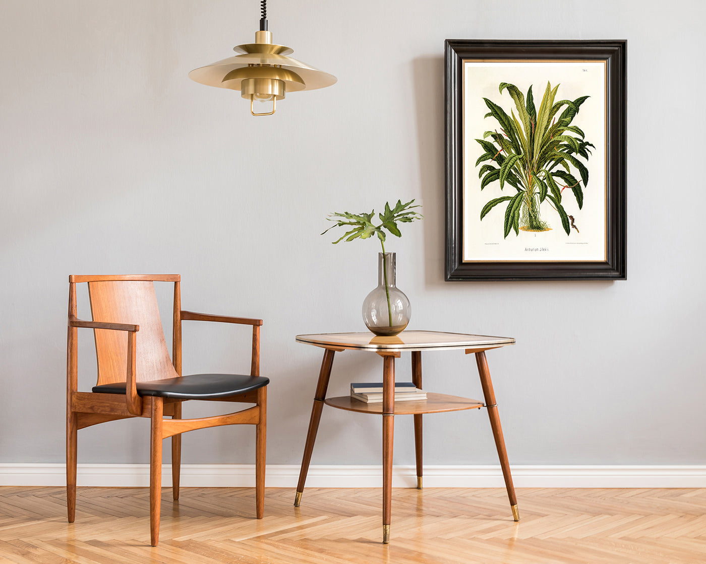 Anthurium Jilekii - Tropenpflanze