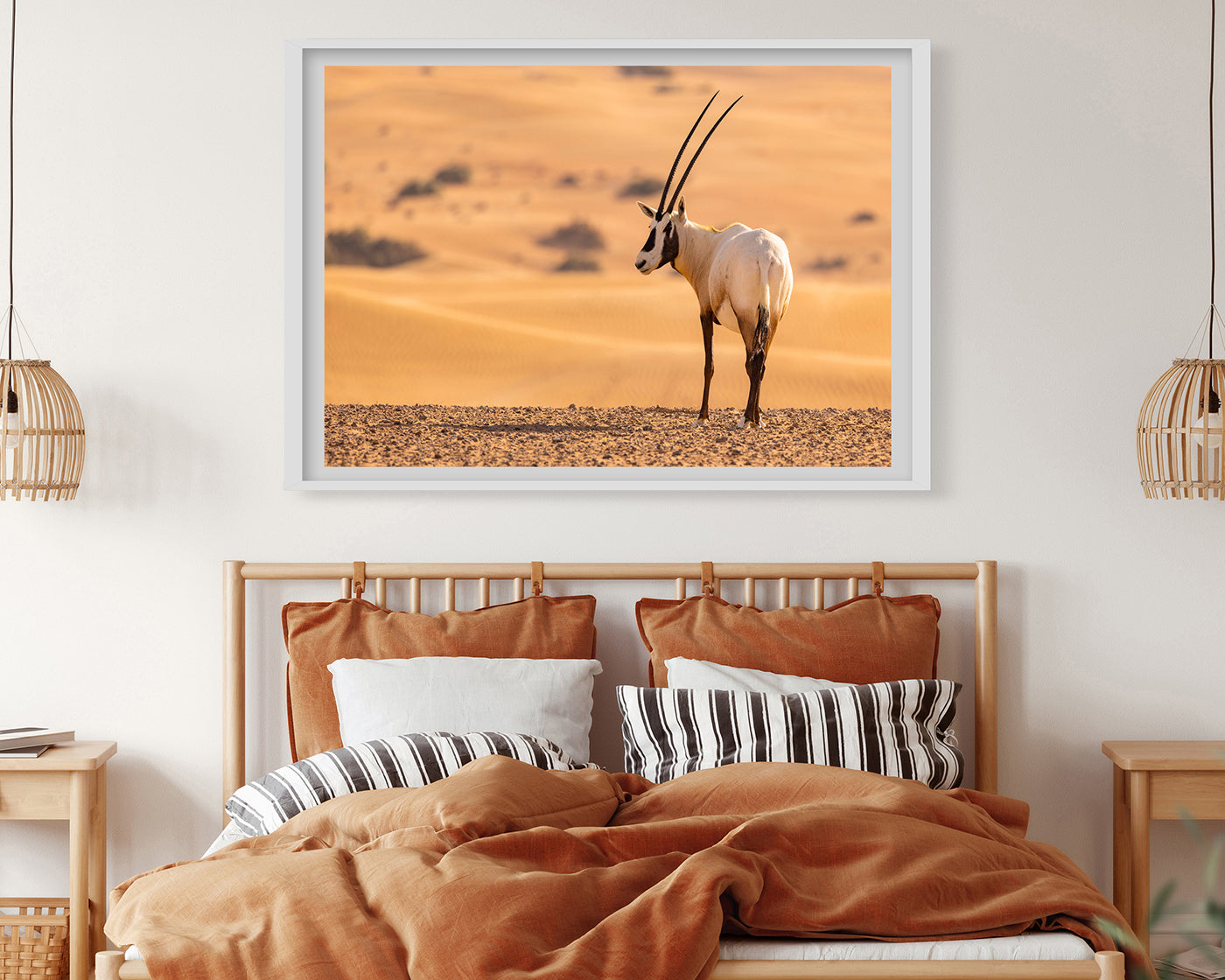 Südafrikanischer Spießbock - Oryx Gazella