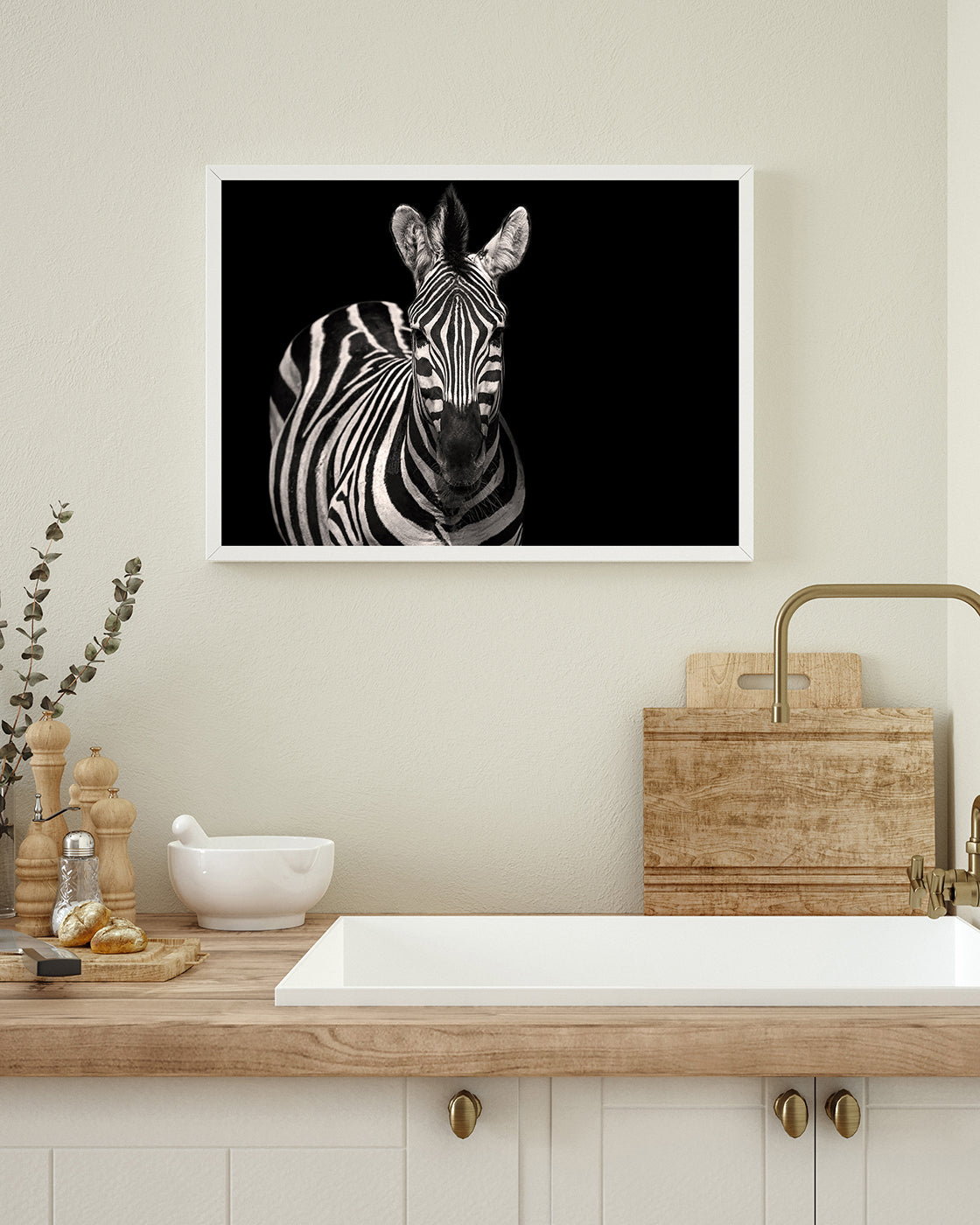 Zebra auf schwarzem Hintergrund