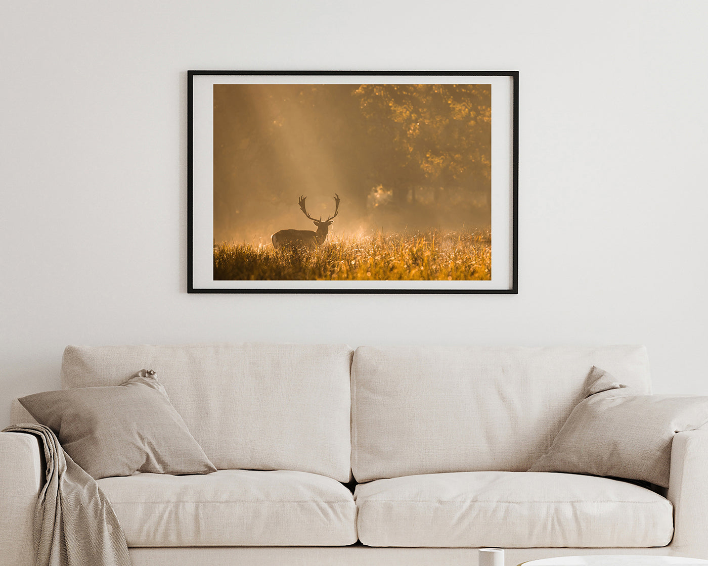 Hirsch in den Morgenstunden