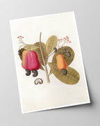 Pflanze mit roten Früchten und Blüten