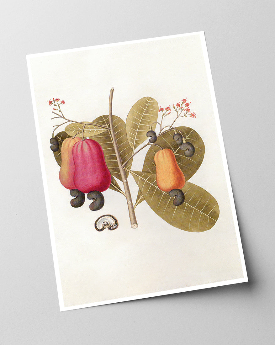 Pflanze mit roten Früchten und Blüten