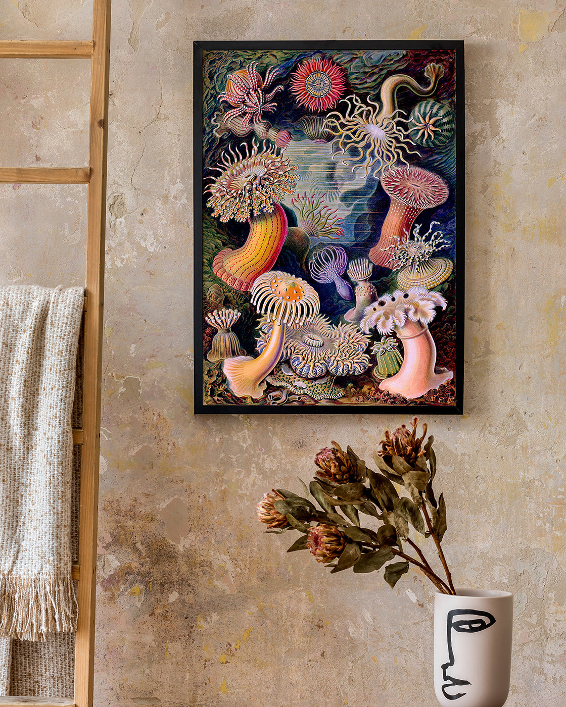 Ernst Haeckel - Anemonen