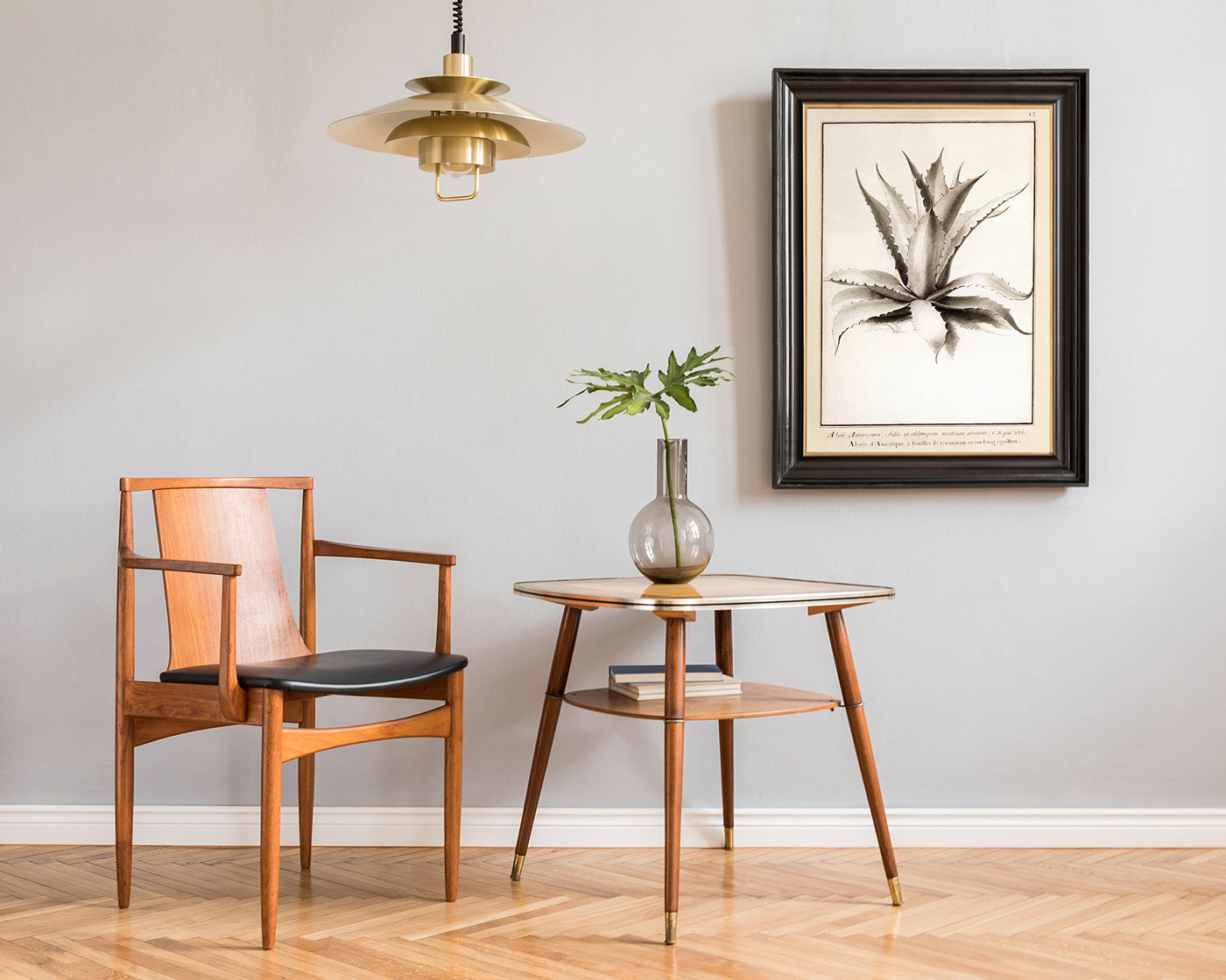 Aloe Americana - Agave