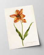 Blume mit orangener Blüte