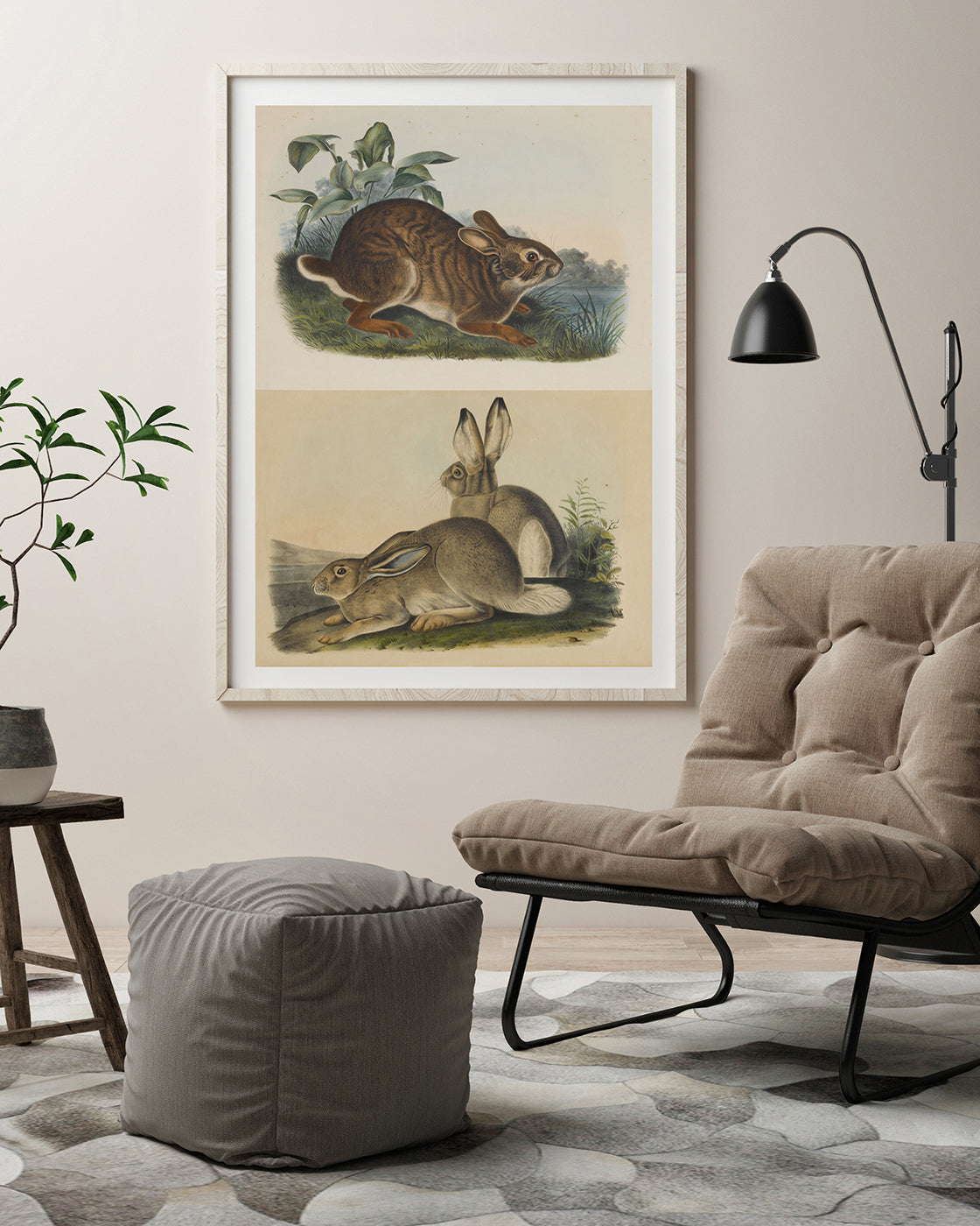 John James Audubon - Kaninchen in der Wildnis