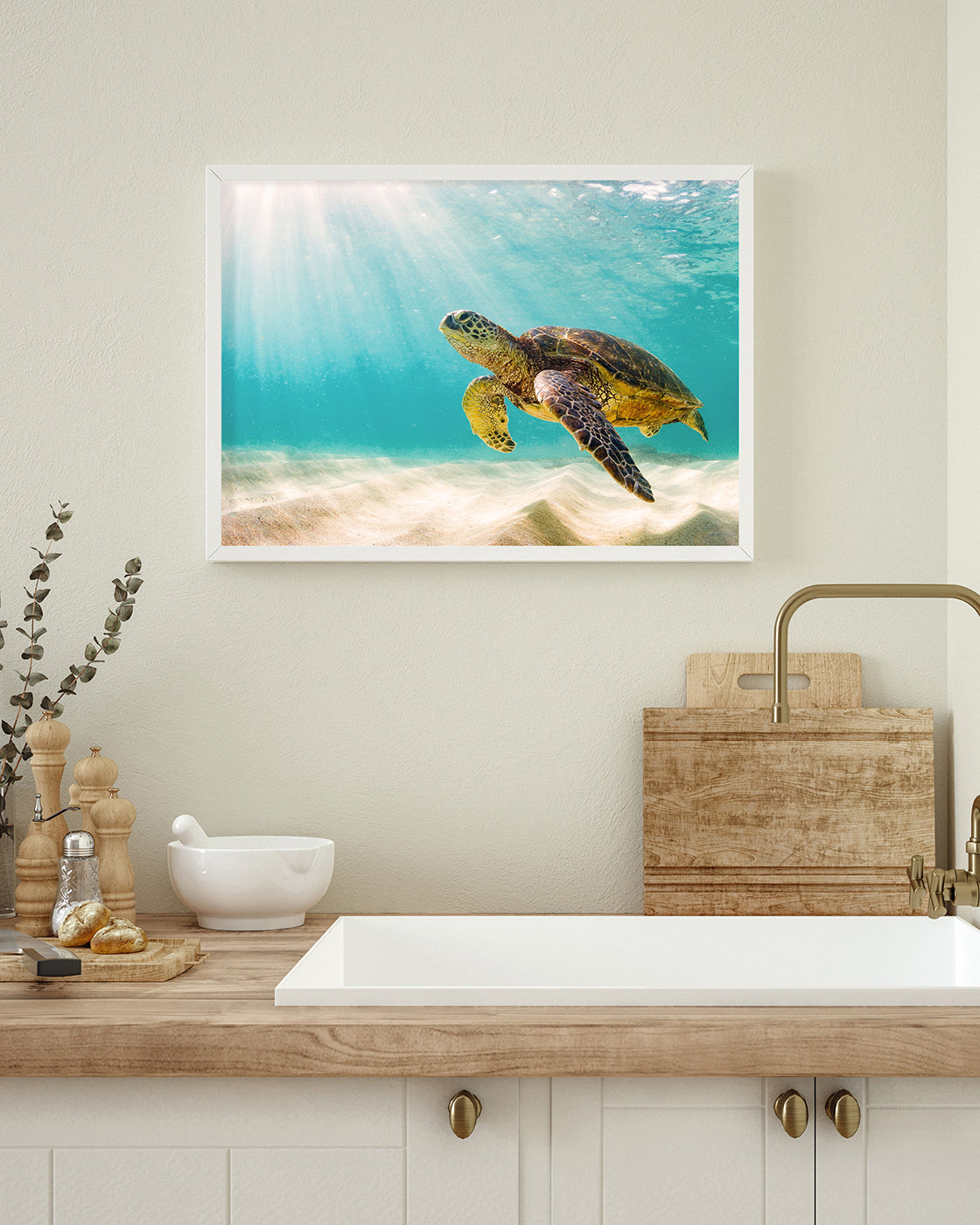 Schwimmende Schildkröte