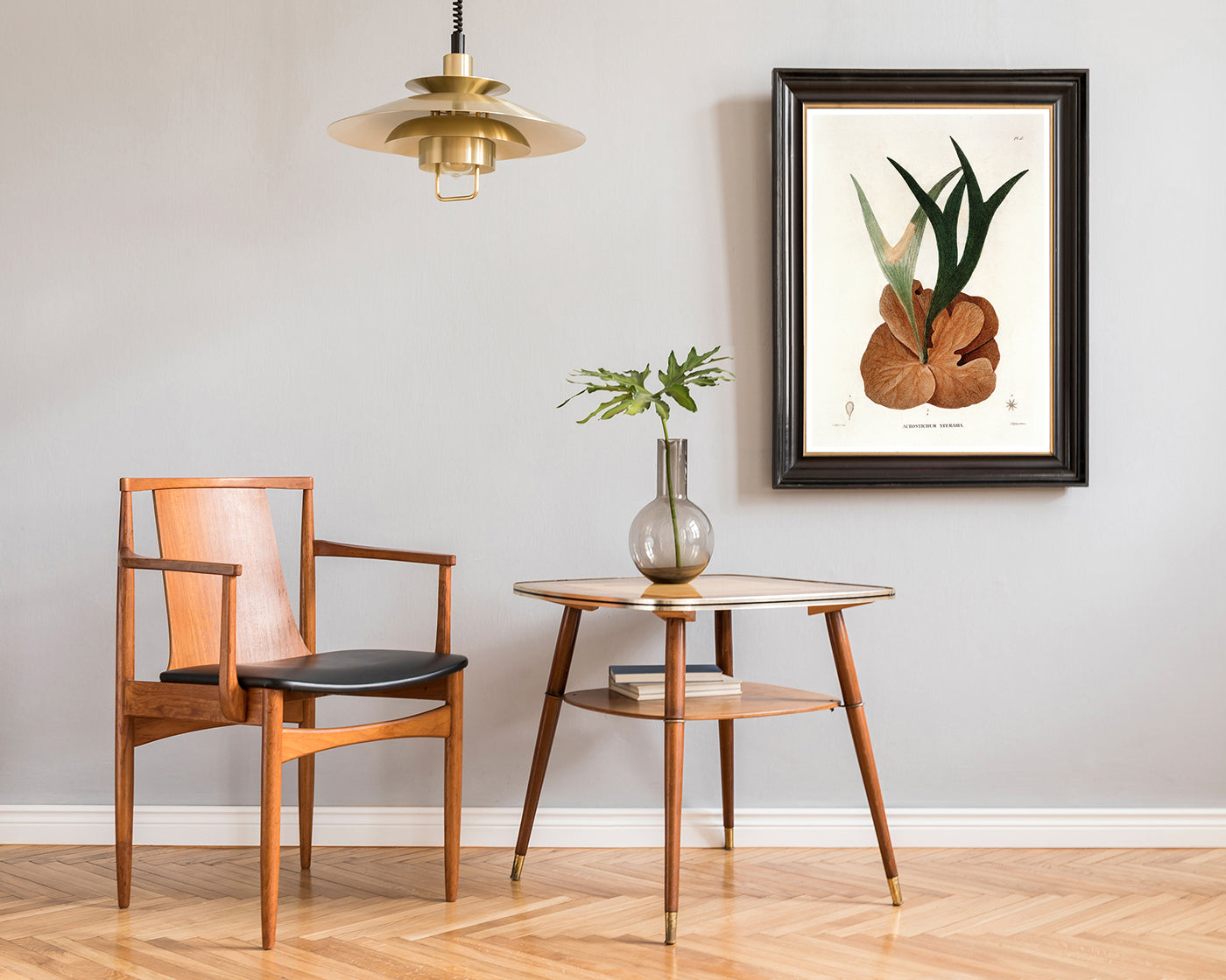 Acrostichum Stemaria - Mangroven Farn