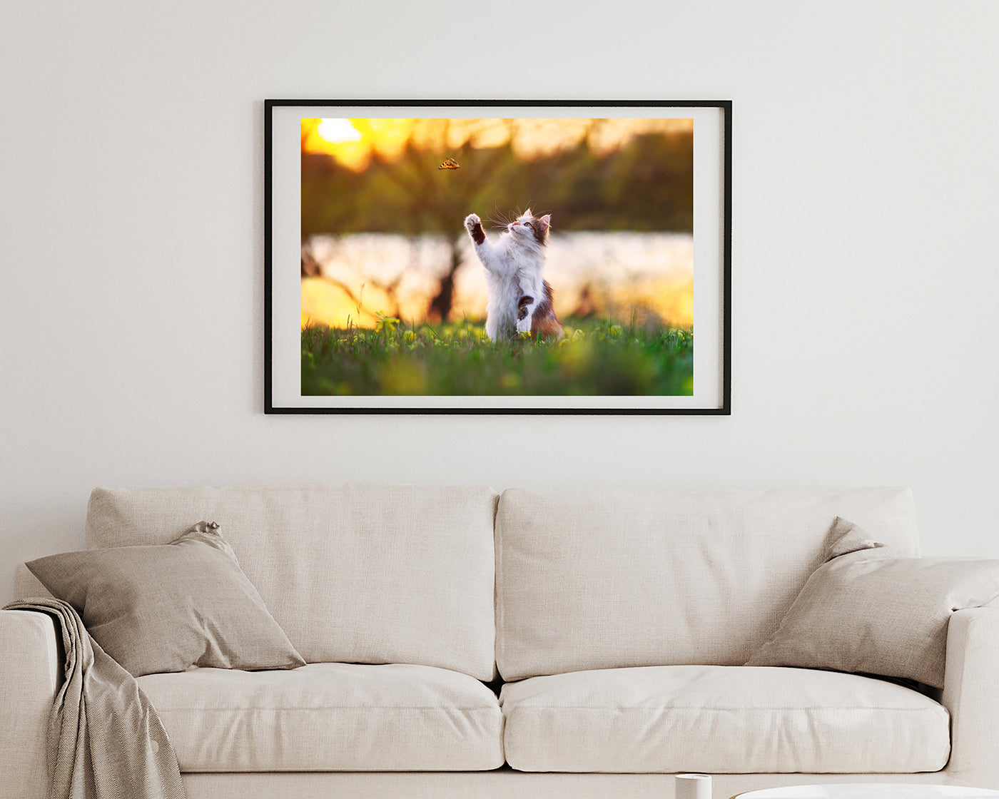 Katze mit Schmetterling