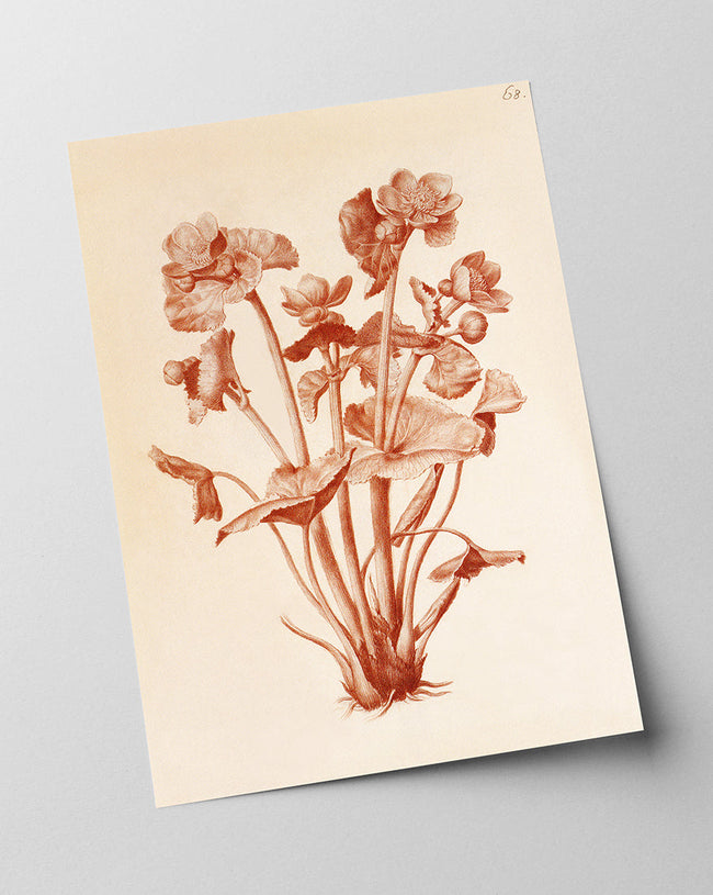 Blumenzeichnung Main Image