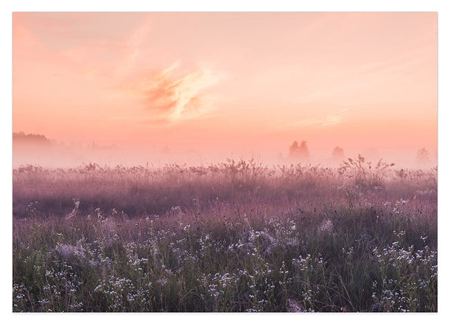 Romantische Blumenwiese Hover Image