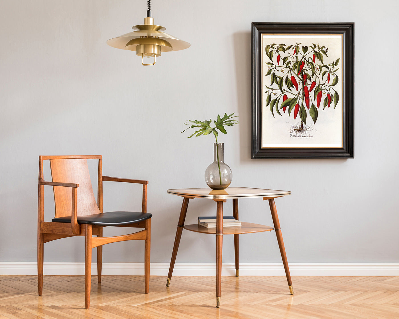 Piper Indicum Medium - Paprikagewächs