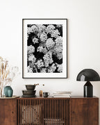 Blumen - Schwarz-Weiß