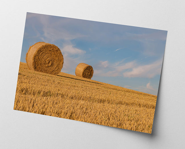 Geerntetes Feld Main Image