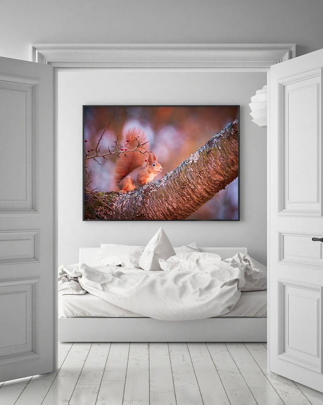 Eichhörnchen auf einem Ast Main Image