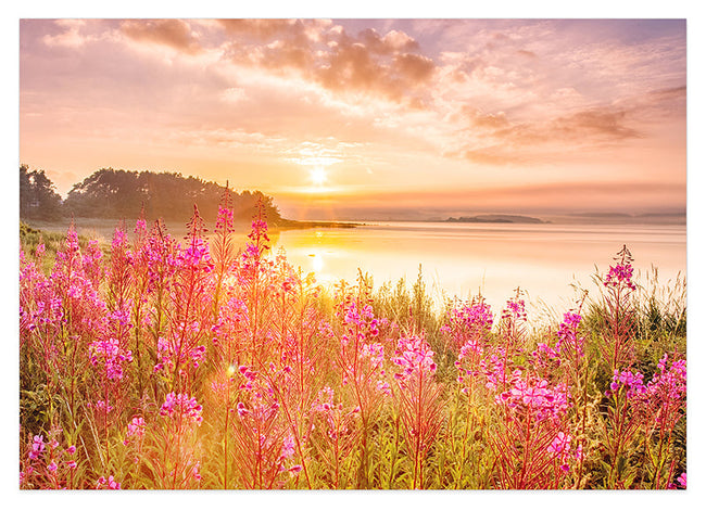 Blumen am See Hover Image