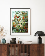 Ernst Haeckel - Vögel im Paradies