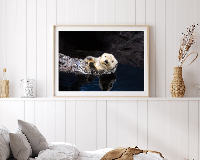 Schwimmender Seeotter Main Image