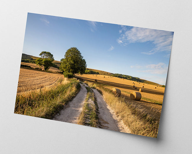 Sommer-Feld Main Image