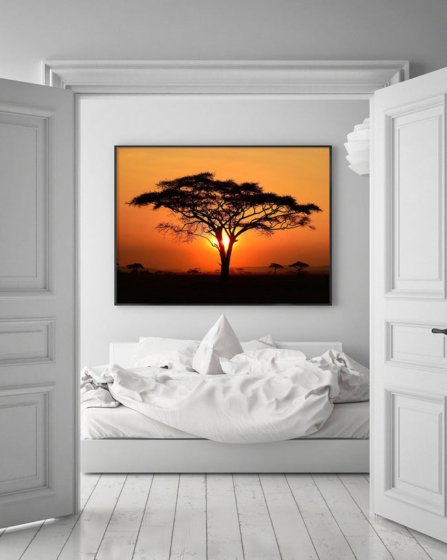 Afrikanischer Baum bei Sonnenuntergang Main Image